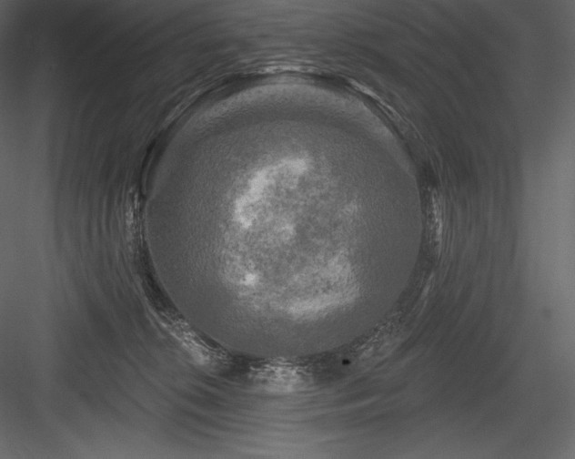X0000084560276200702231240
