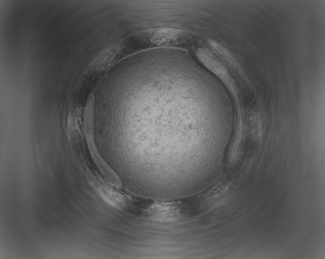 X0000084560280200702231240