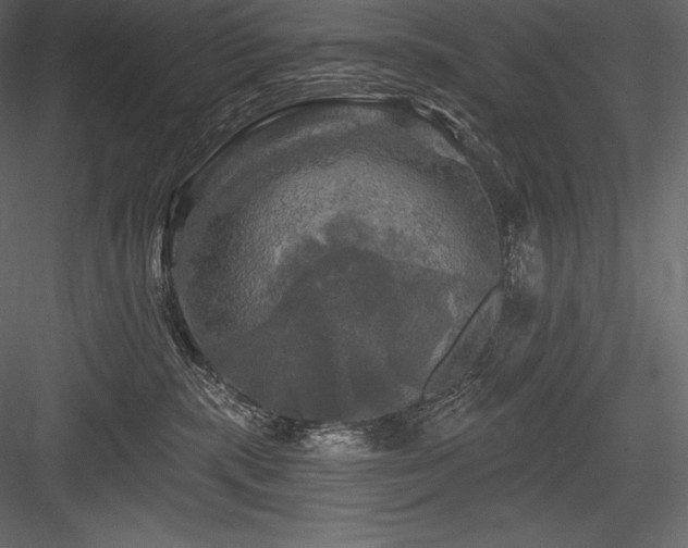 X0000084560283200702231240