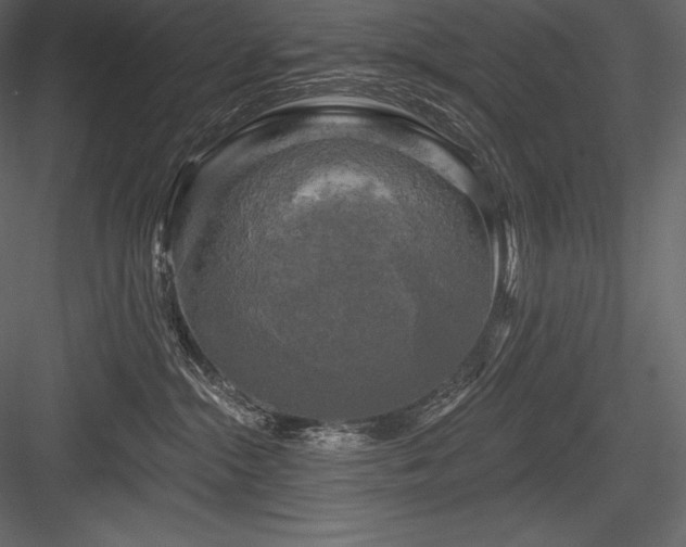 X0000084560284200702231240