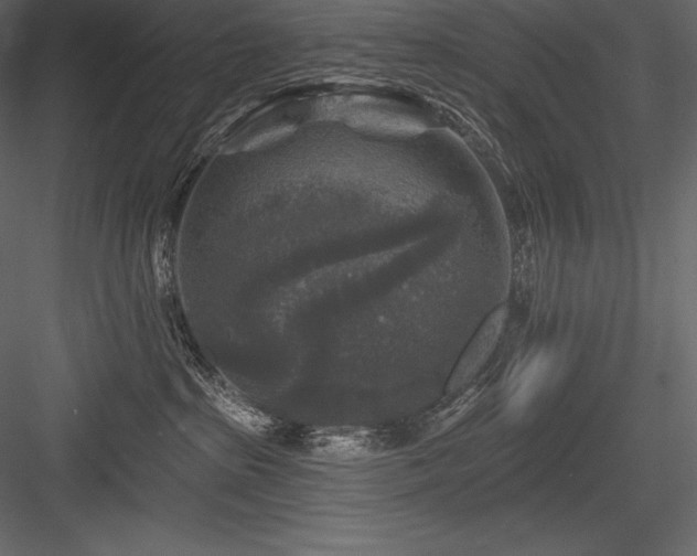 X0000084560285200702231240