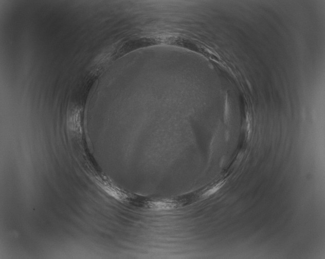 X0000084560286200702231240