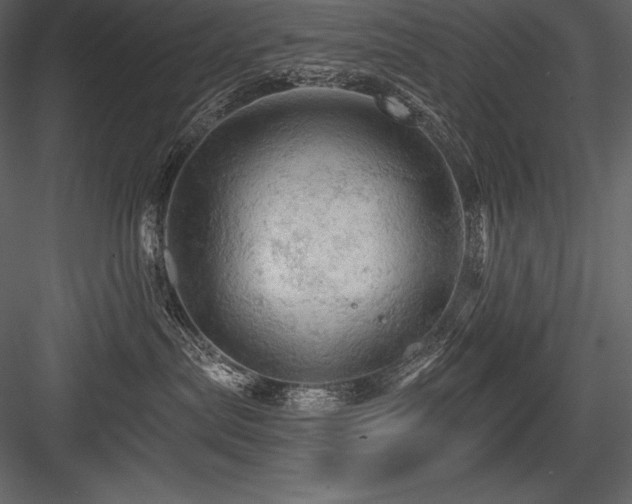 X0000084560287200702231240