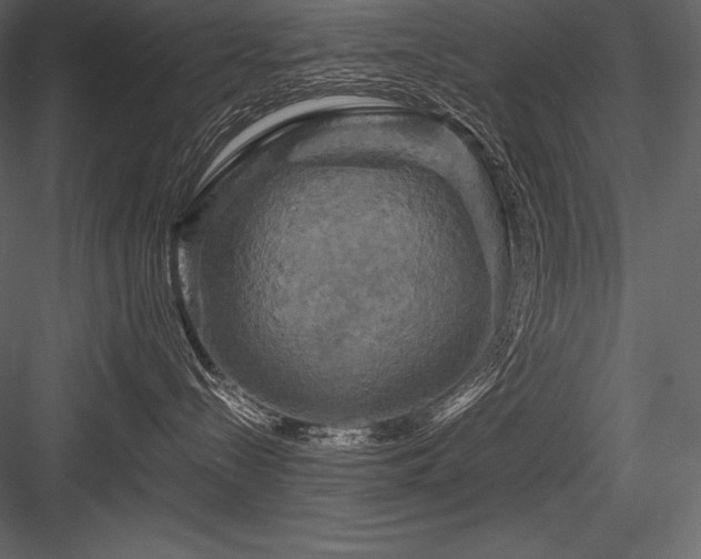 X0000084560288200702231240