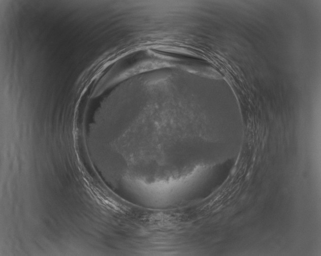 X0000084560290200702231239