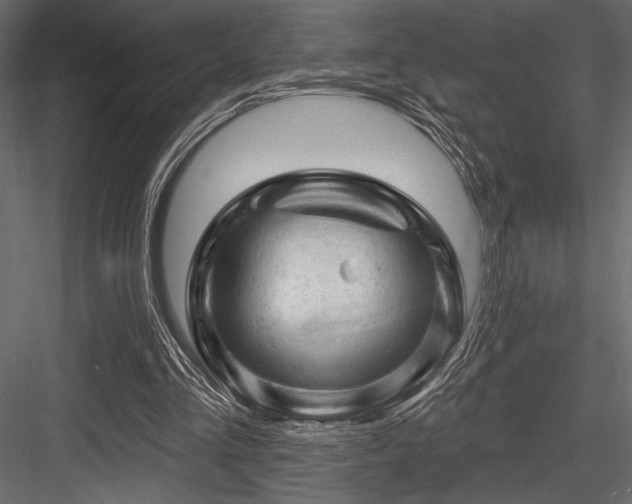 X0000084560293200702231239