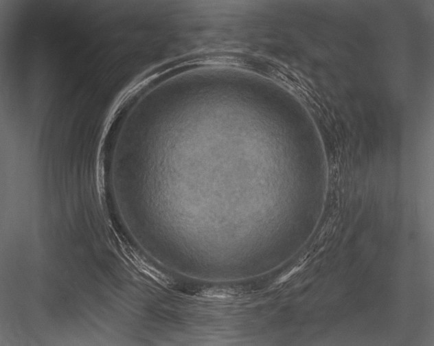 X0000084560294200702231239
