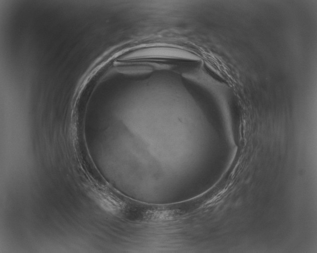 X0000084560295200702231239