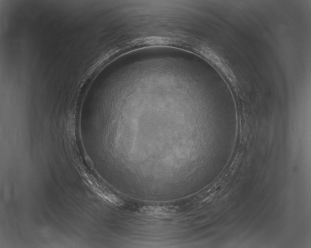 X0000084560297200702231239