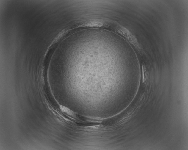 X0000084560300200702231239