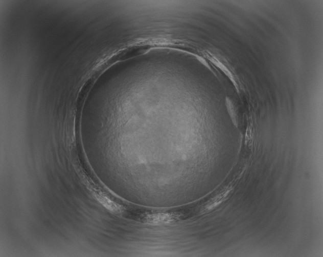 X0000084560301200702231239
