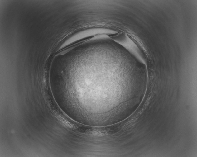X0000084560305200702231239