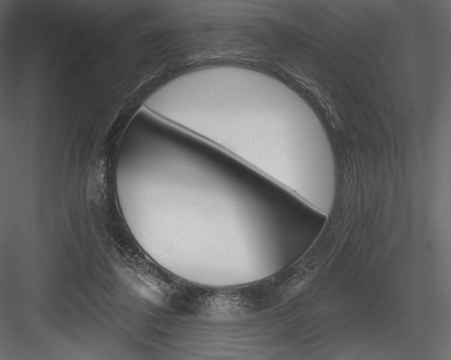 X0000084560308200702231239