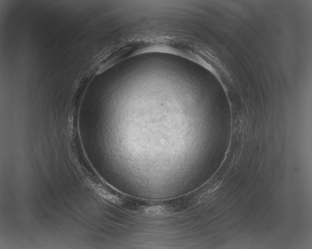 X0000084560309200702231239