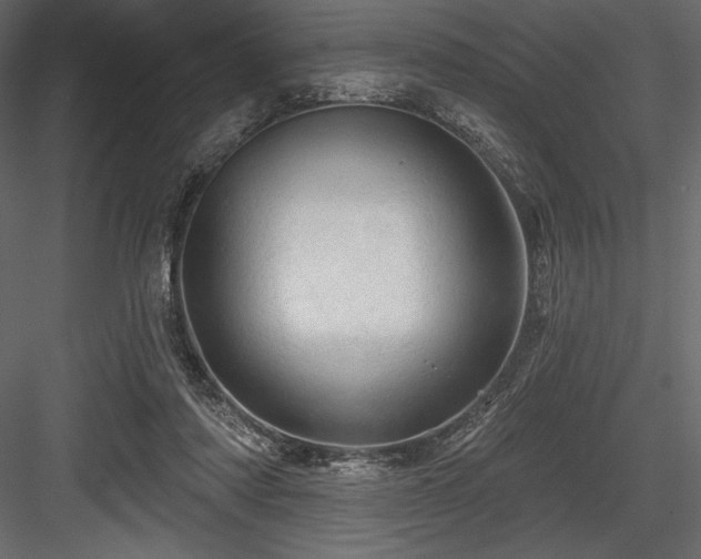X0000084560310200702231239