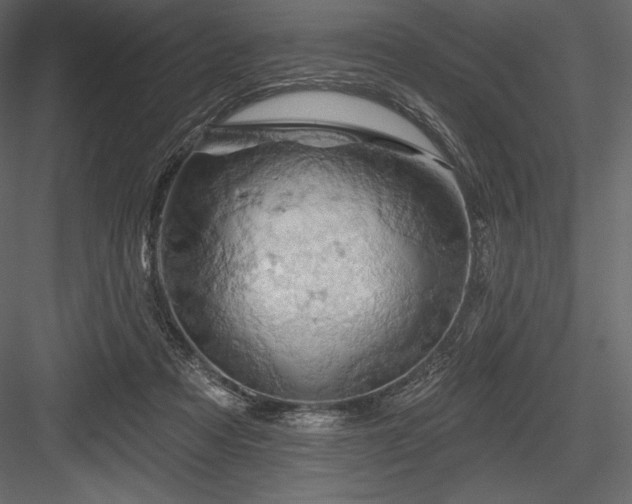 X0000084560313200702231239