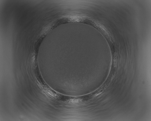X0000084560314200702231239