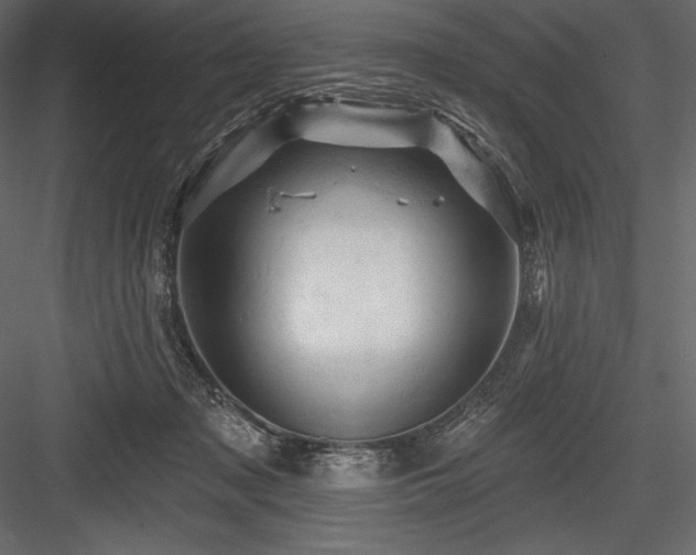 X0000084560317200702231239