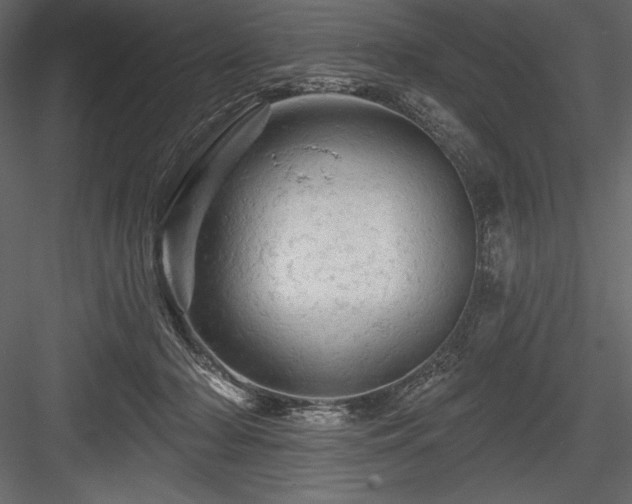 X0000084560318200702231239