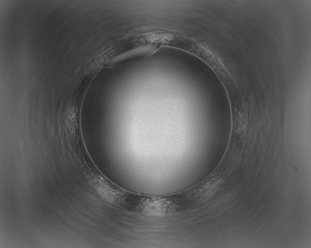 X0000084560321200702231239