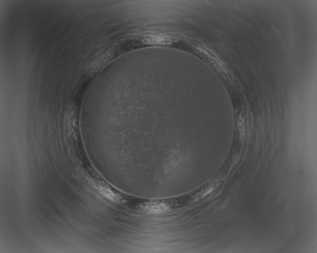 X0000084560322200702231239