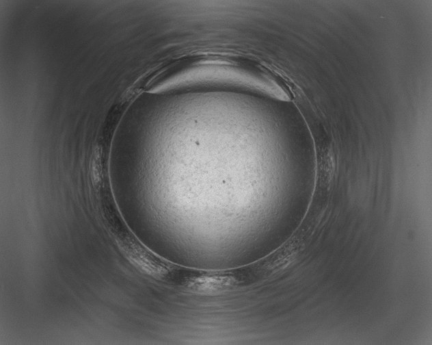 X0000084560323200702231239