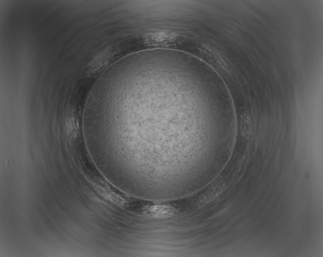 X0000084560324200702231239