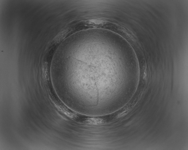X0000084560328200702231239