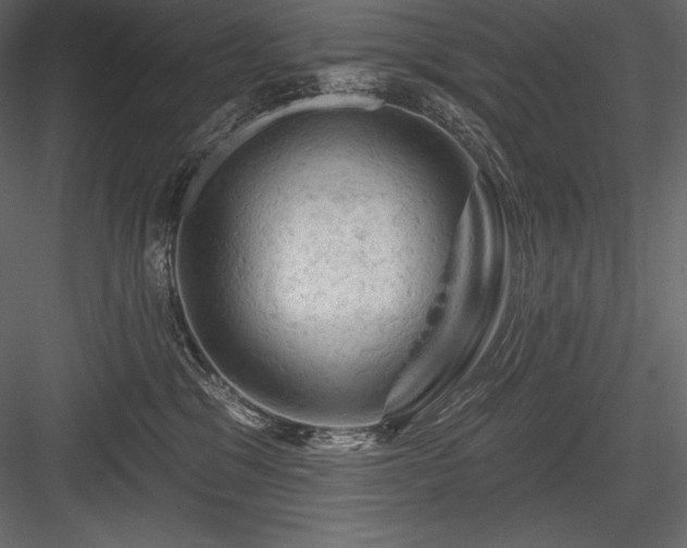 X0000084560329200702231239