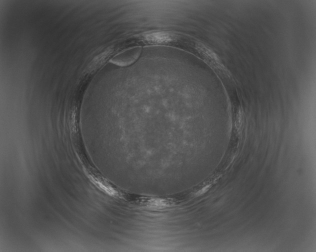 X0000084560330200702231239
