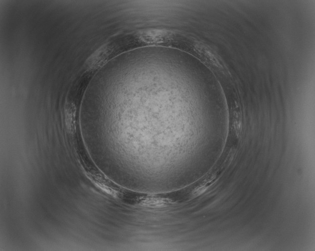 X0000084560332200702231239