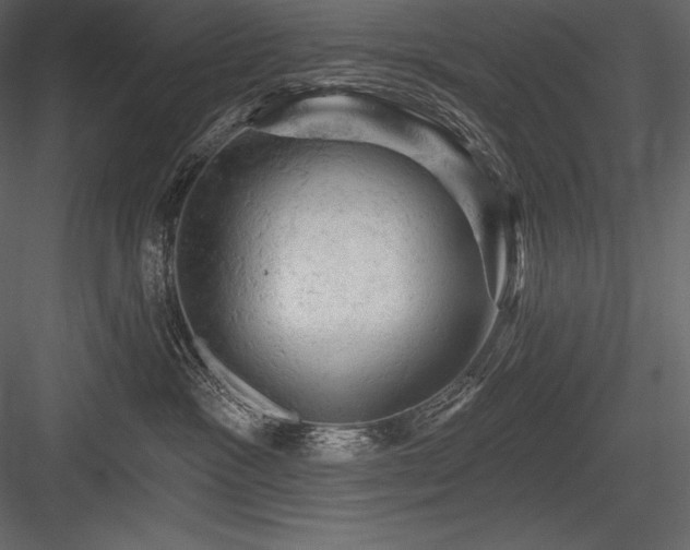 X0000084560333200702231239