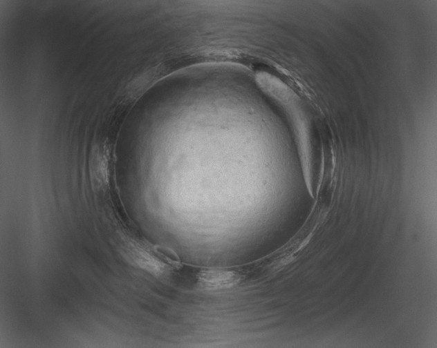 X0000084560334200702231239