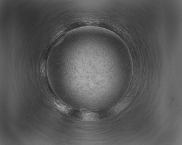 X0000084560336200702231239