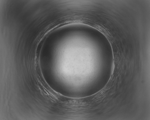 X0000084560338200702231238