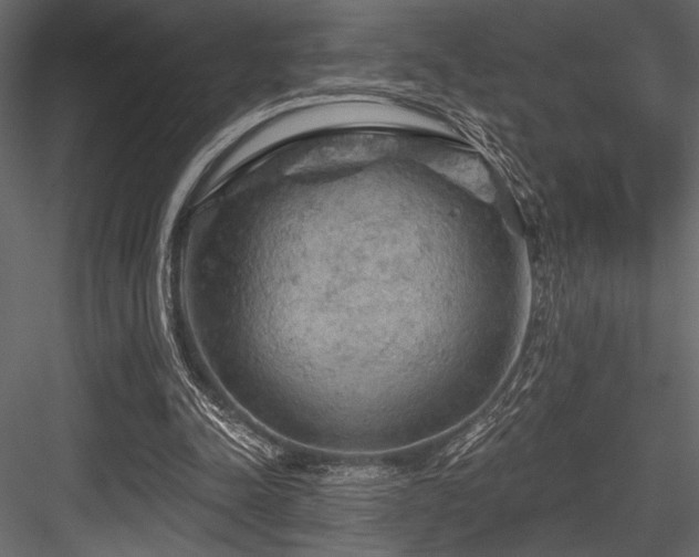 X0000084560342200702231238
