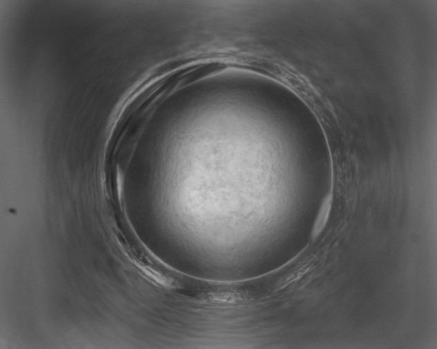 X0000084560344200702231238