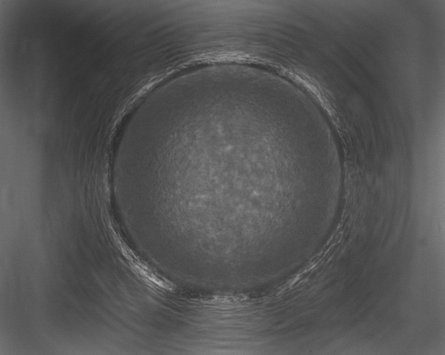 X0000084560345200702231238