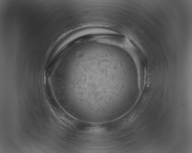 X0000084560348200702231238