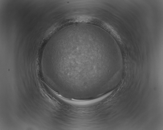 X0000084560354200702231238