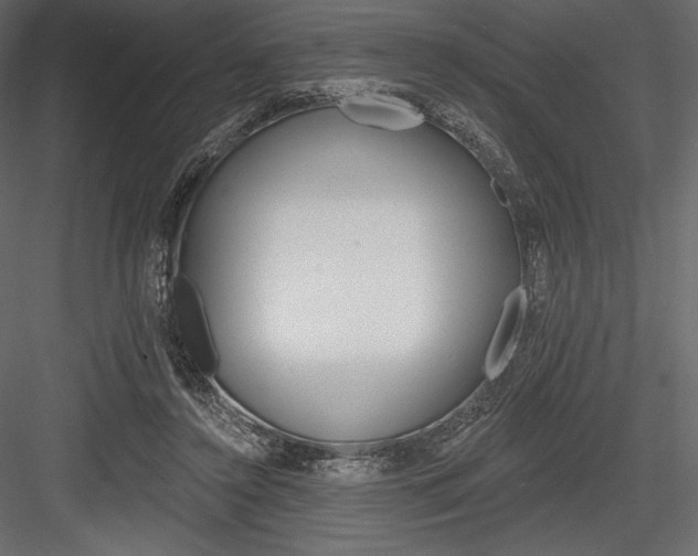 X0000084560356200702231238