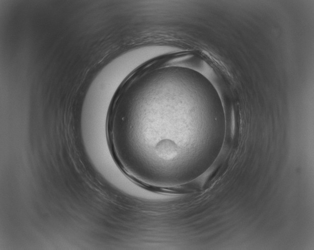 X0000084560362200702231238