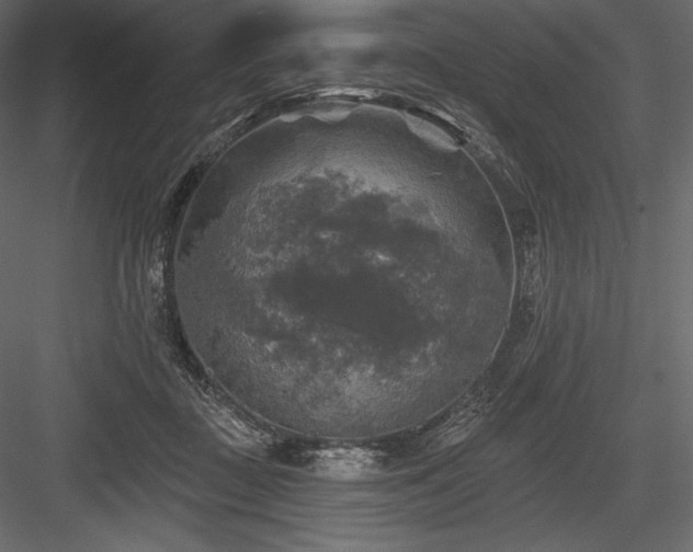 X0000084560363200702231238