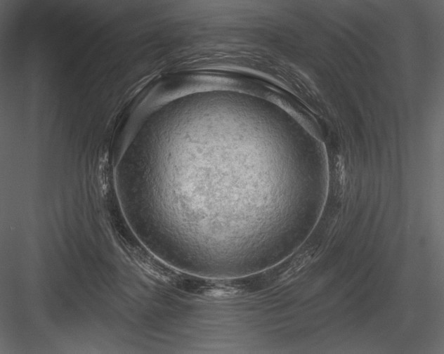 X0000084560364200702231238