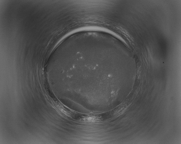 X0000084560365200702231238