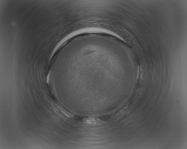 X0000084560372200702231238