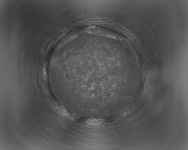 X0000084560373200702231238