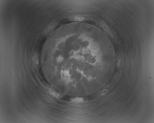 X0000084560374200702231238