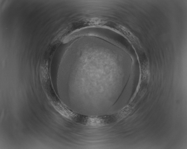 X0000084560376200702231238