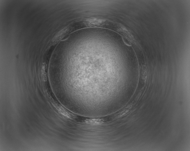 X0000084560378200702231238